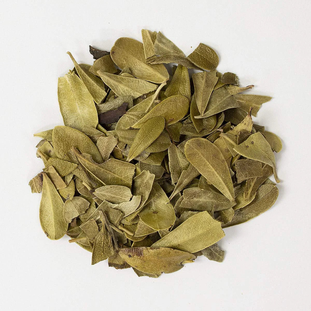 Uva Ursi Leaf Powder Organic