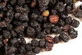 Organic Elderberry (whole)
